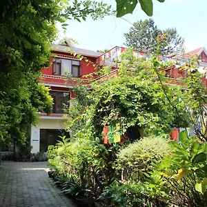 Rokpa Maison d'hôtes Katmandou